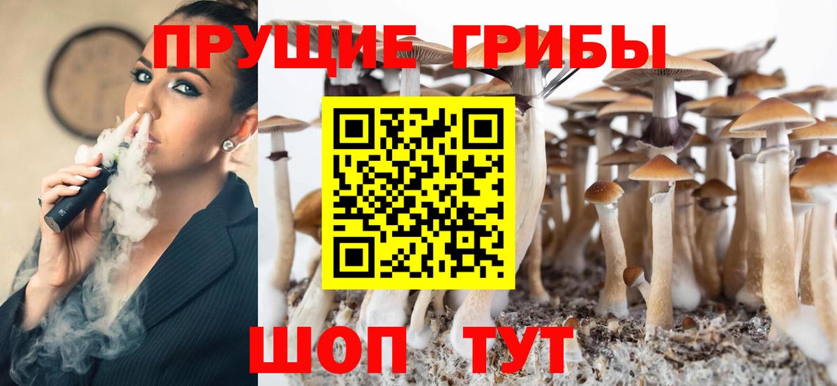 Шарыпово  Псилоцибиновые грибы MAGIC MUSHROOMS  Вход с VPN 
